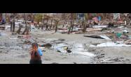 Cambio climático