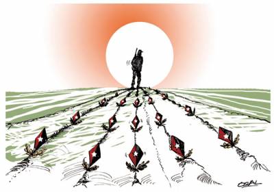 Fidel7