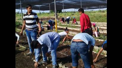 11no. Congreso de la UJC