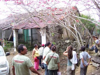 El Guayabal咖啡种植园