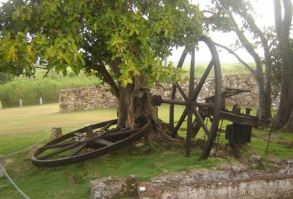 Demajagua