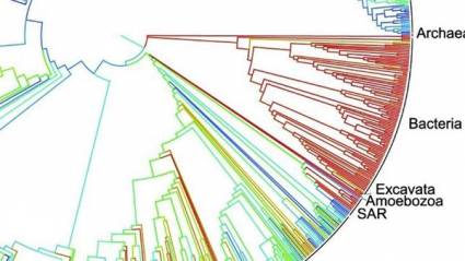 Árbol global de la vida en la tierra