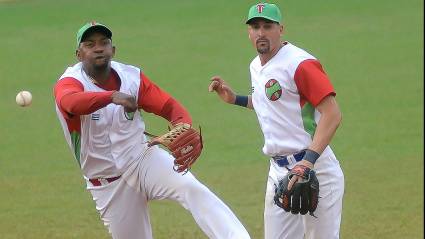 Posibles  refuerzos del equipo de beisbol de Camagüey a la serie nacional.