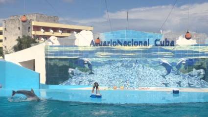 国家水族馆宣布时间表变更。