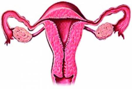 Mycoplasma genitalium és prosztatagyulladás