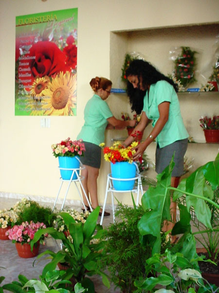 La Floristería Dayamí