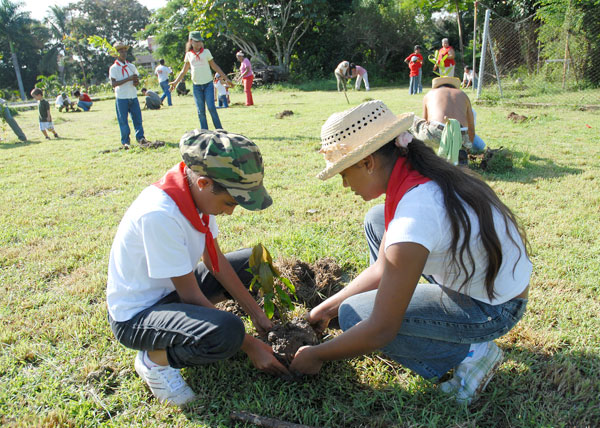 Jornada nacional de trabajo voluntario
