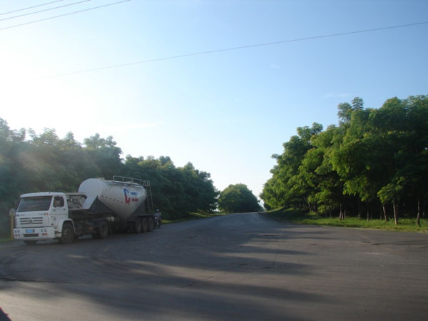 Expansión del patrimonio forestal de Cienfuegos