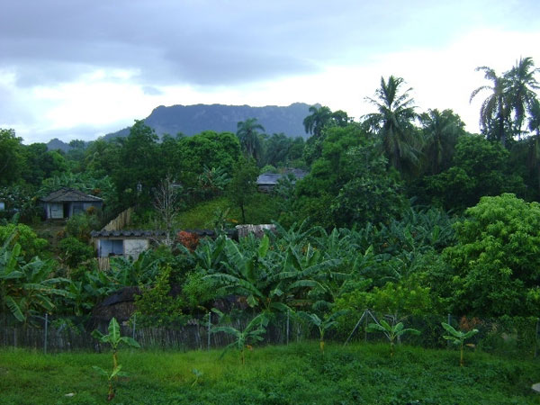 Una vista de El Yunque, Monumento Nacional