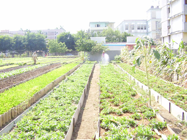 Agricultura urbana y suburbana