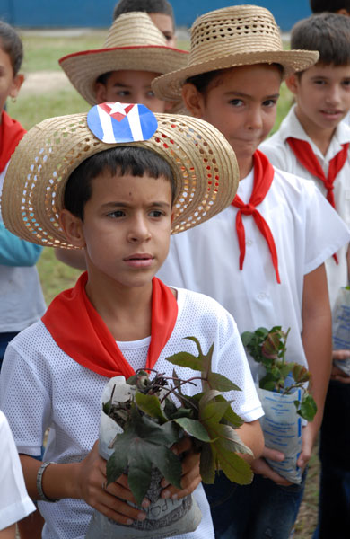 Los pioneros cubanos 