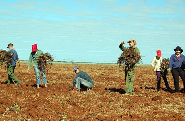 Jóvenes en el campo