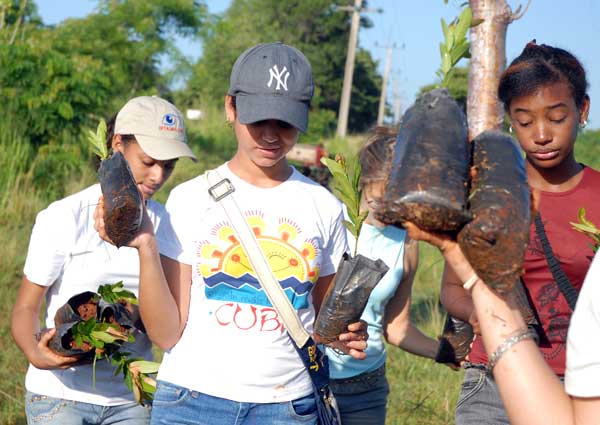 Convocan a jornada nacional de trabajo voluntario