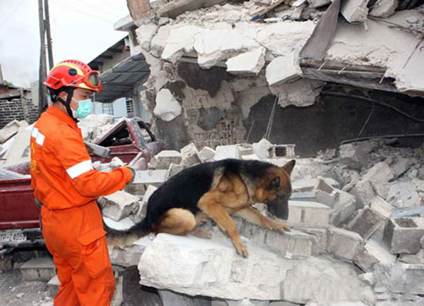 Equipos de rescate continúan en la búsqueda de sobrevivientes en Haití