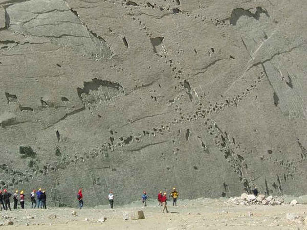 Huellas de dinosaurio en Sucre, Bolivia