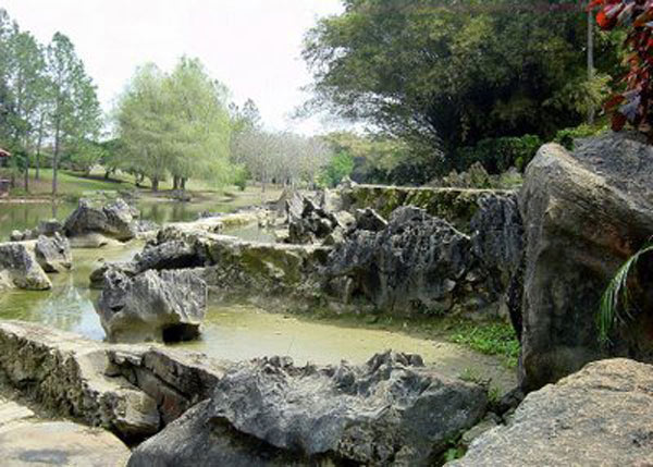 Jardín Botánico Nacional: verde catedral de la ciencia