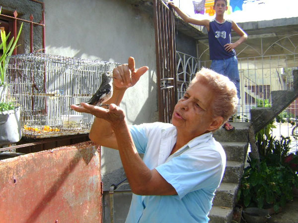 Sinfonía con plumas