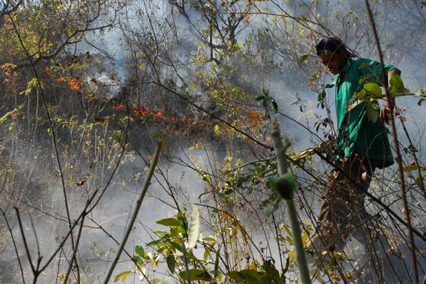 Incendio forestal azota El Salvador