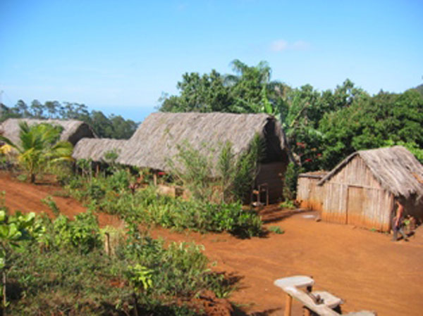 Parque Nacional Pico Cristal en Holguín, Cuba  