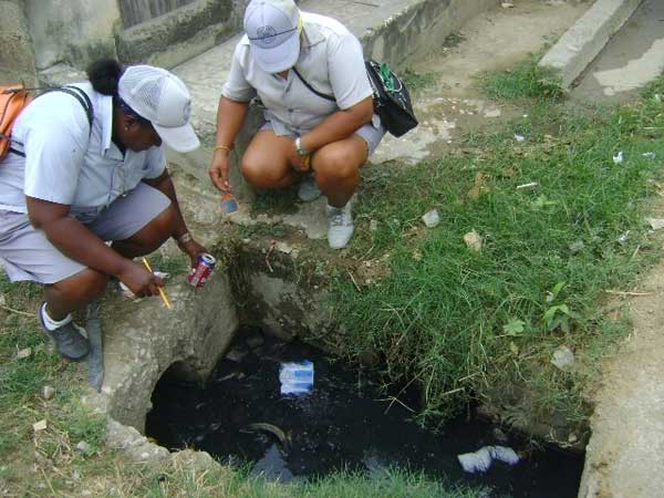 Continúa riesgo de infección por picada del Aedes aegypti