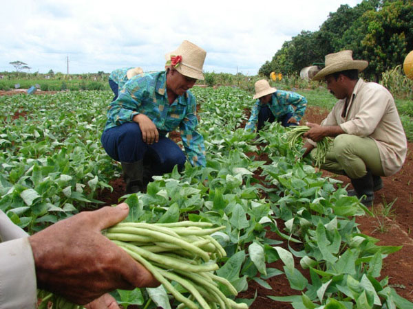 Brazos nuevos para la agricultura