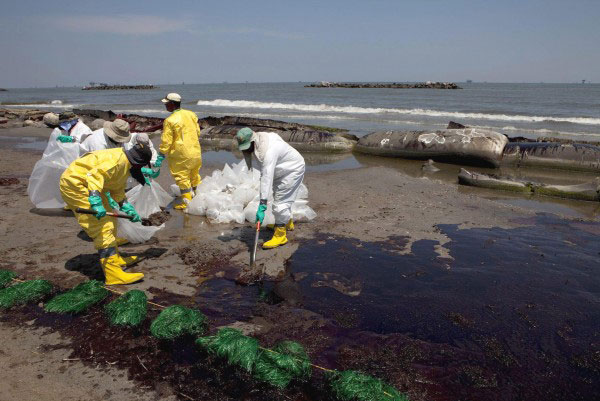 Consecuencias del derrame en el Golfo de México