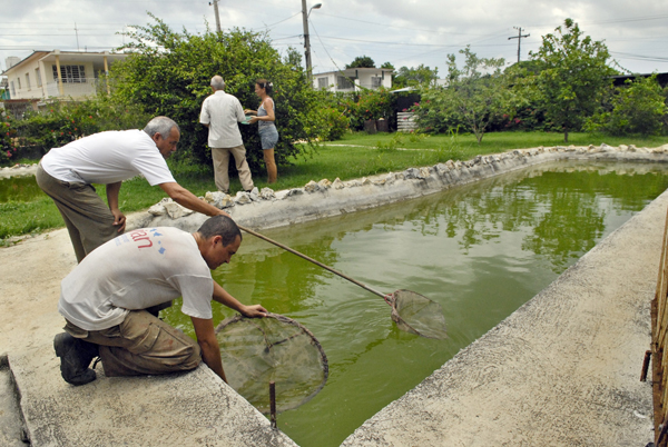 Criadero de peces