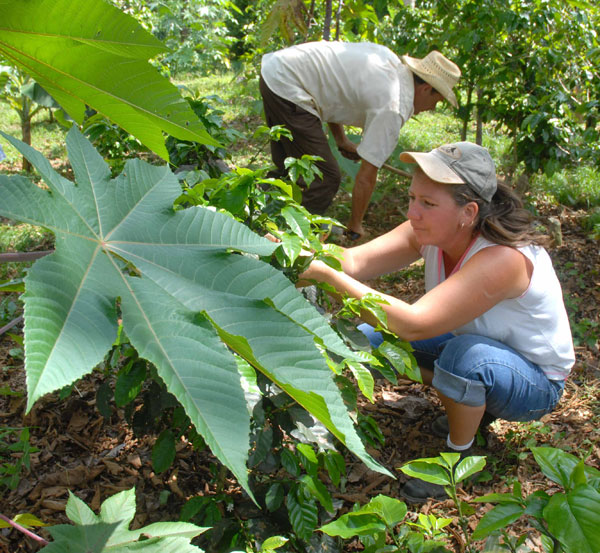 Jóvenes en la agricultura