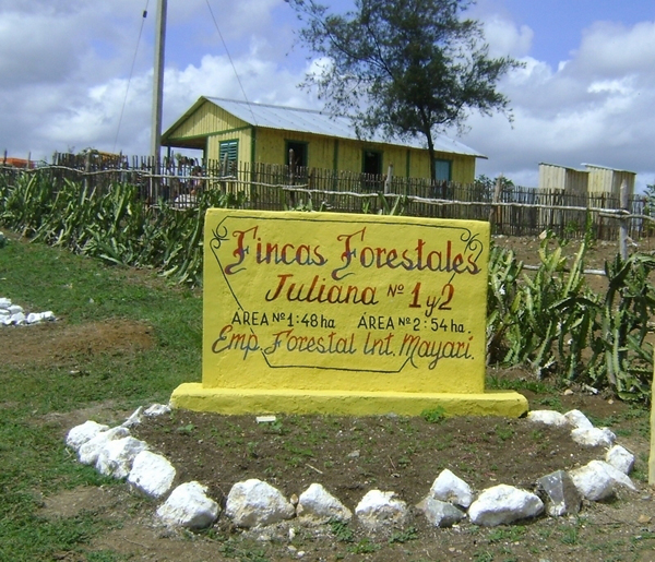 Fincas forestales Juliana 1 y 2, en Holguín