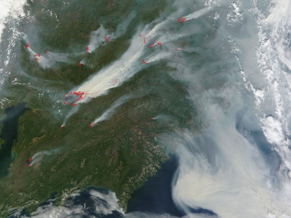 Incendios forestales al sudeste de Moscú