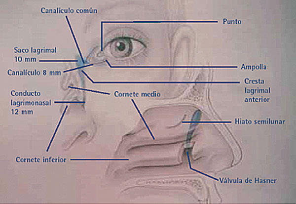 Esquema de cirugía Oftalmológica