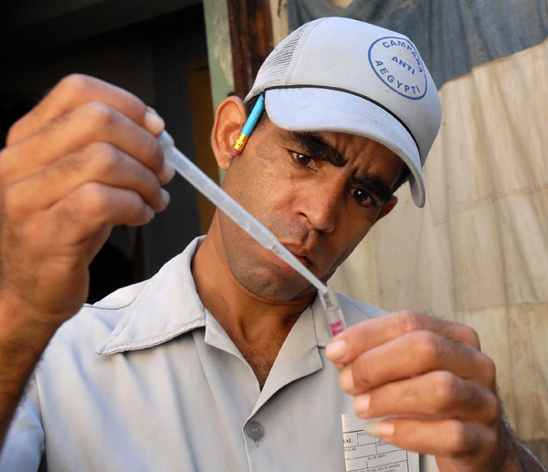 Campaña contra el mosquito