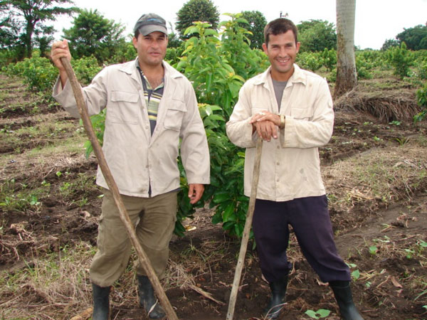 Jóvenes campesinos