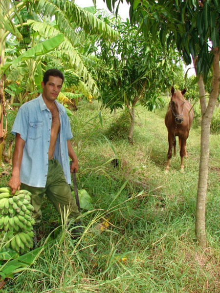 Joven campesino