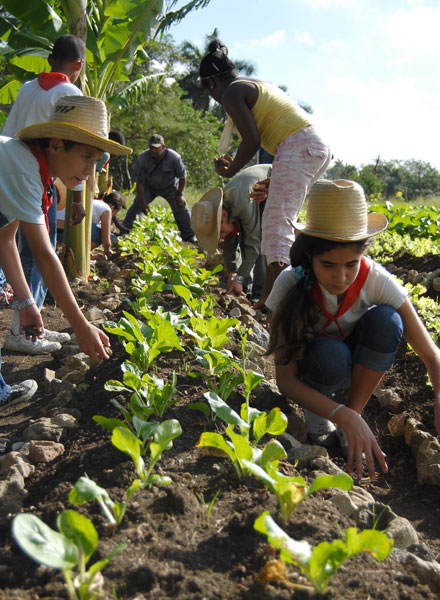 Niños en el campo