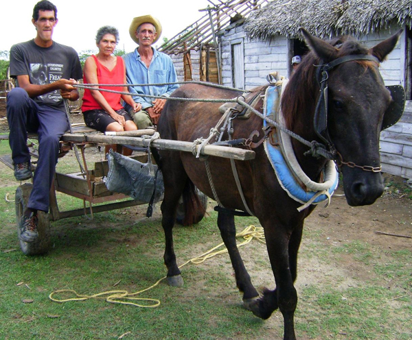 La historia de Reynier Fernández Ramírez