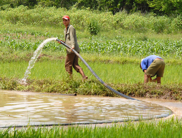 Campesinos cubanos 