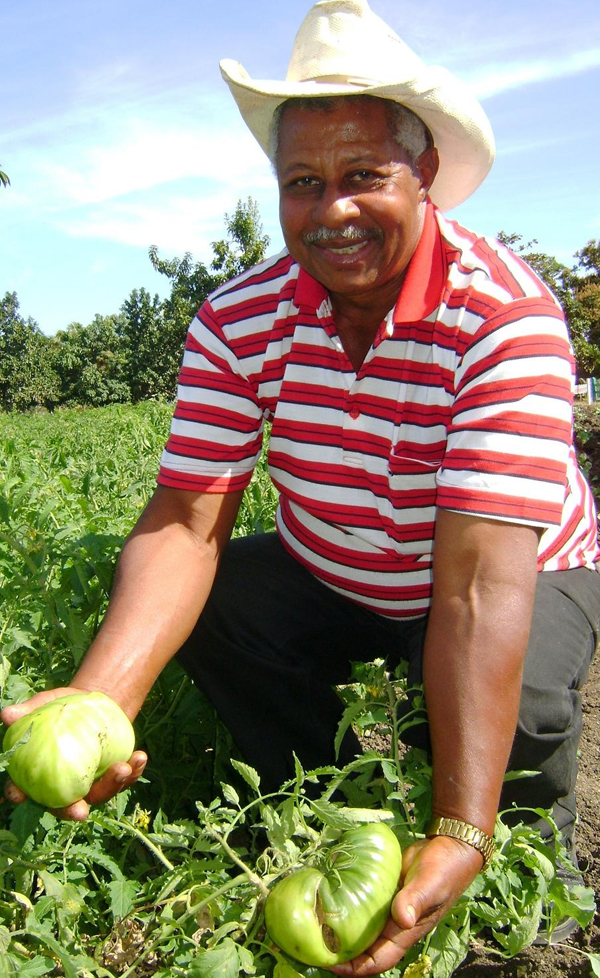 José Poll Díaz