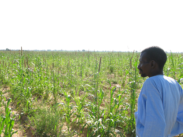 Escasez de tierras en África