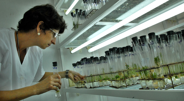 Ciencia aplicada a la agricultura