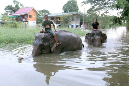 Inundaciones en Tailandia