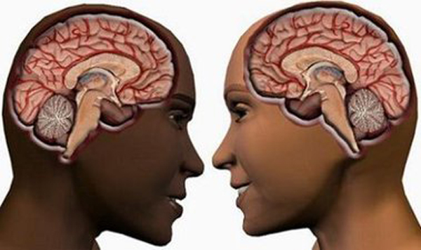 Diferencias cerebrales