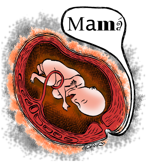 Lenguaje fetal