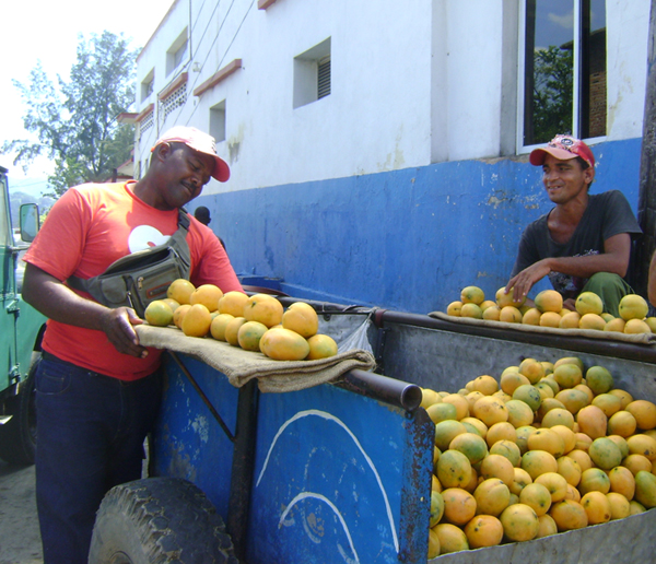 Carretilleros 