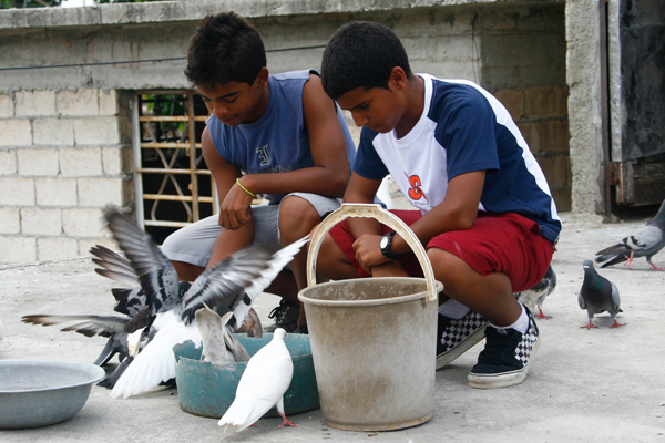 Andy y Ernesto