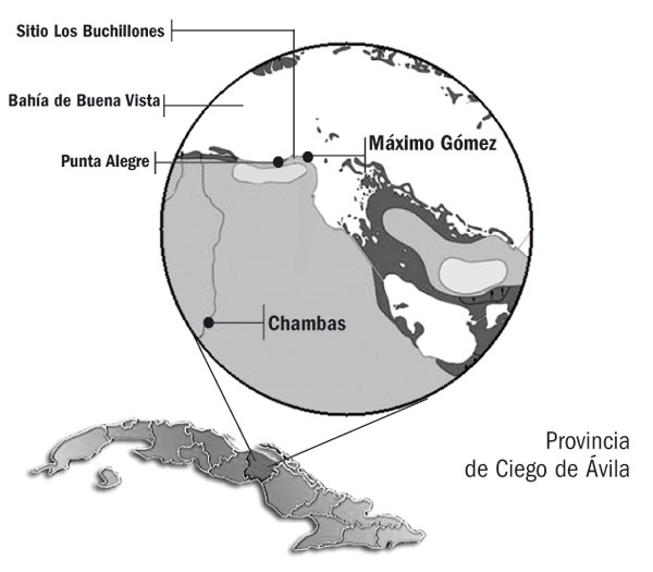 Área Arqueológica de Los Buchillones