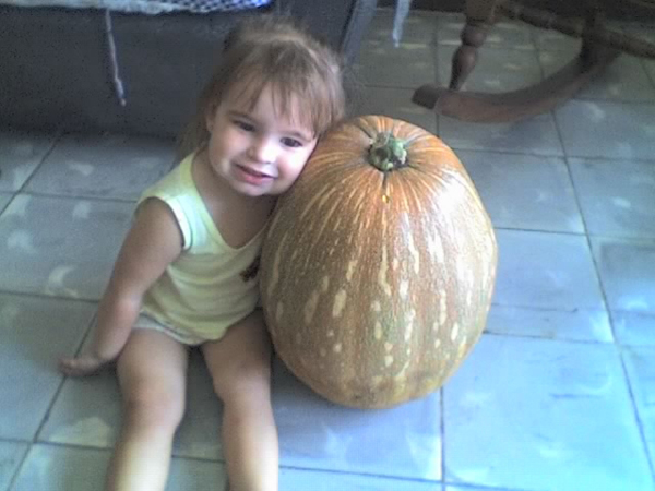 Calabaza gigante