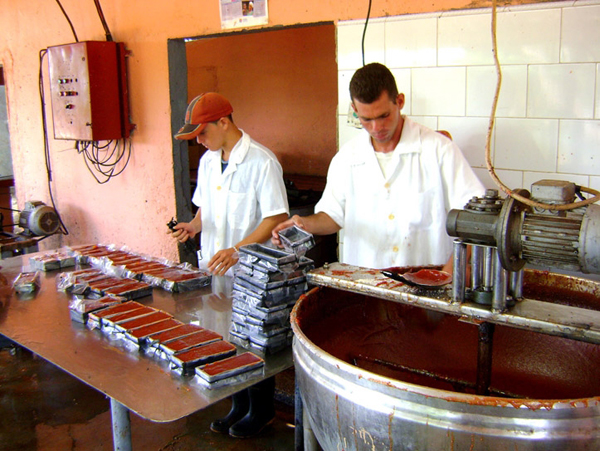 Jóvenes en la elaboración de barras de dulce de guayaba