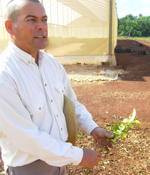 Asael Calvo Moreno