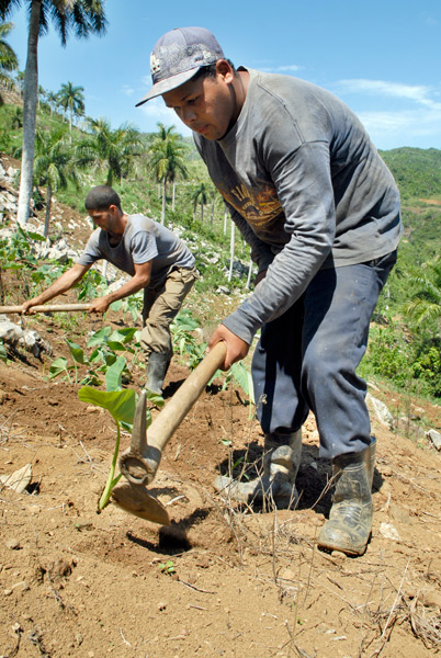 Agricultura 